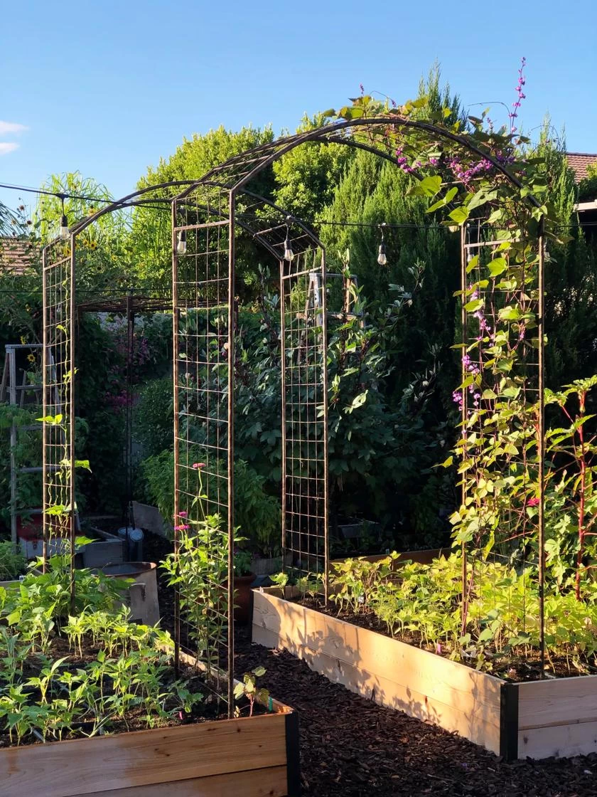 Deep Root Raised Beds, 14" Deep 4' Wide 2 Deep Root Raised Beds, 14" Deep 4' Wide - Image 2