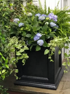 Fairfield Self-Watering Square Planter, 20” X 20” -Green Haven Shop 39 618 205V tif