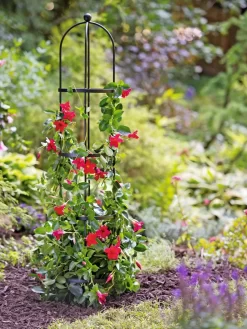 Essex Round Trellises -Green Haven Shop 39544 2267 tif