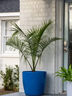 Viva Round Self-Watering Rolling Planter, 20" Diameter, Set Of 2 -Green Haven Shop 3 4 crop 8612933 0024 tif