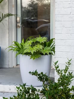 Viva Round Self-Watering Rolling Planter, 20" Diameter, Set Of 2 -Green Haven Shop 3 4 crop 8612933 0025 tif