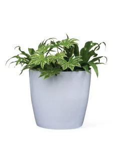 Viva Round Self-Watering Rolling Planter, 20" Diameter, Set Of 2 -Green Haven Shop 3 4 crop 8612933 0026 tif