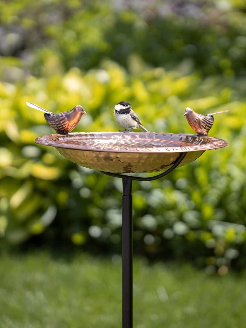 Pure Copper Bird Bath With Two Copper Birds And Multipronged Garden Pole 1 Pure Copper Bird Bath With Two Copper Birds And Multipronged Garden Pole