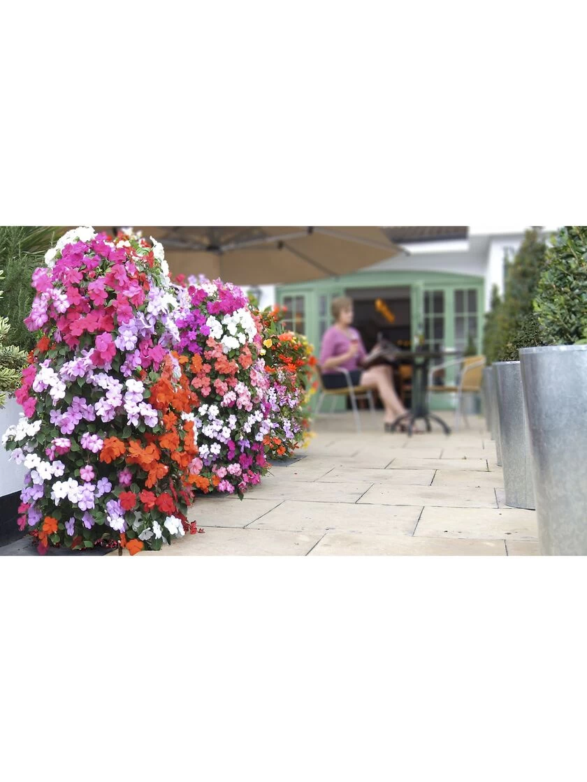 Flower Tower 2 Flower Tower - Image 2