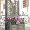 Separate Flower Box With Trellis