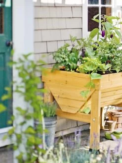 Green Haven Shop -Green Haven Shop 40365B 100 tif