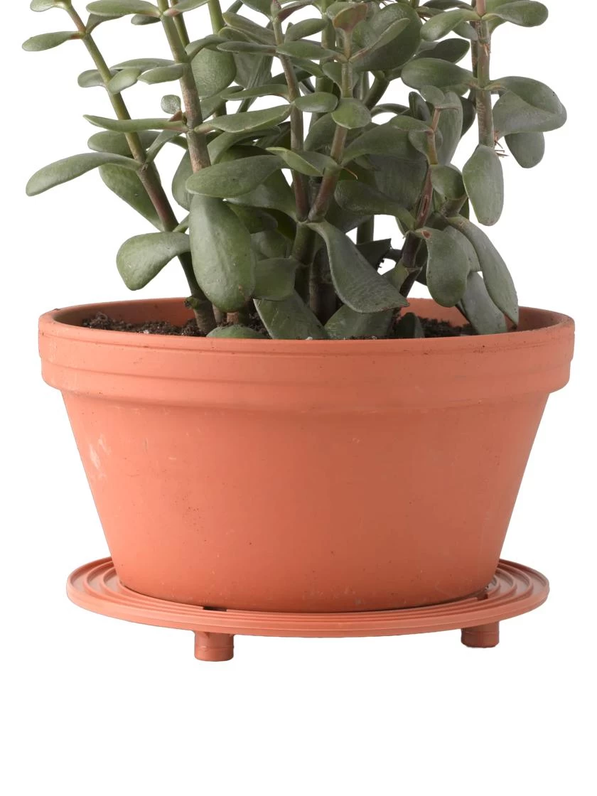 5" SurfaceSaver® , Set Of 2 2 5" SurfaceSaver® , Set Of 2 - Image 2