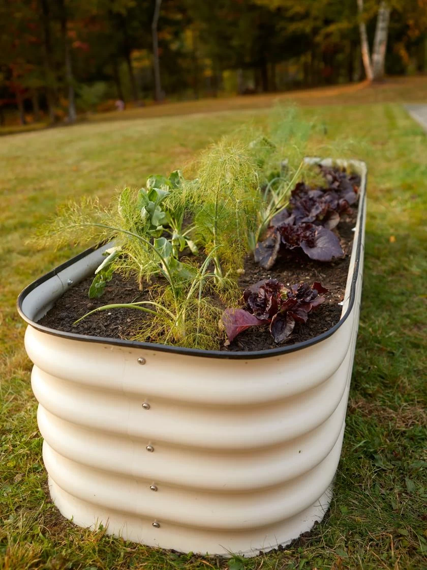 Birdies™ Modular Metal Raised Bed 3 Birdies™ Modular Metal Raised Bed - Image 3