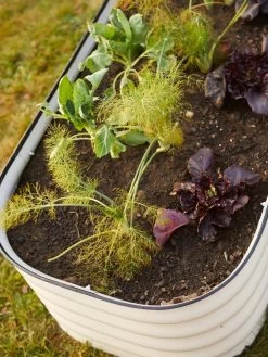 Birdies™ Modular Metal Raised Bed 17 Birdies™ Modular Metal Raised Bed -Green Haven Shop 8586930 6019 tif