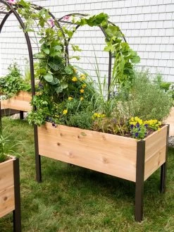 2’ X 4’ Arch Trellis For Planter Boxes 13 2’ X 4’ Arch Trellis For Planter Boxes -Green Haven Shop 8587823 0490