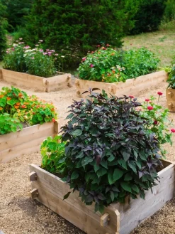 Farmstead Cedar Raised Garden Beds, 3' 8 Farmstead Cedar Raised Garden Beds, 3' -Green Haven Shop 8588143 09V tif