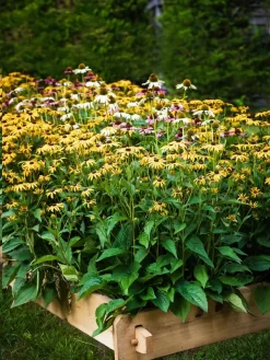 Farmstead Cedar Raised Garden Beds, 2' -Green Haven Shop 8588144 014V tif