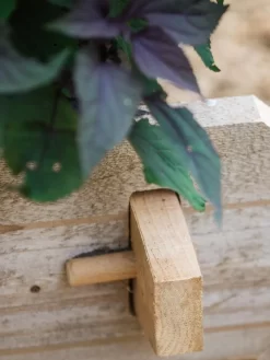 Farmstead Cedar Raised Garden Beds, 2' -Green Haven Shop 8588144 12V tif