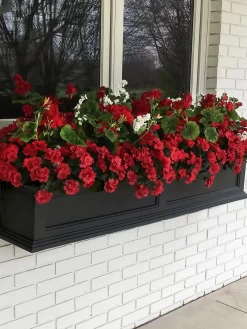 Fairfield Self-Watering Window Box, 5’ -Green Haven Shop 8588938 100V tif
