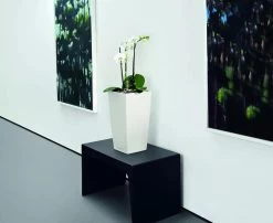 Lechuza® Cubico Color Tall Self-Watering Planters 8 Lechuza® Cubico Color Tall Self-Watering Planters -Green Haven Shop 8589485 03V tif