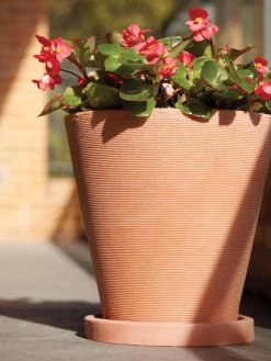 Universal Round Planter Saucers 7 Universal Round Planter Saucers -Green Haven Shop 8589526 001V tif