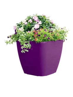 Viva Square Self-Watering Rolling Planter, 17.5" Diameter 7 Viva Square Self-Watering Rolling Planter, 17.5" Diameter -Green Haven Shop 8589778PR 6126 tif