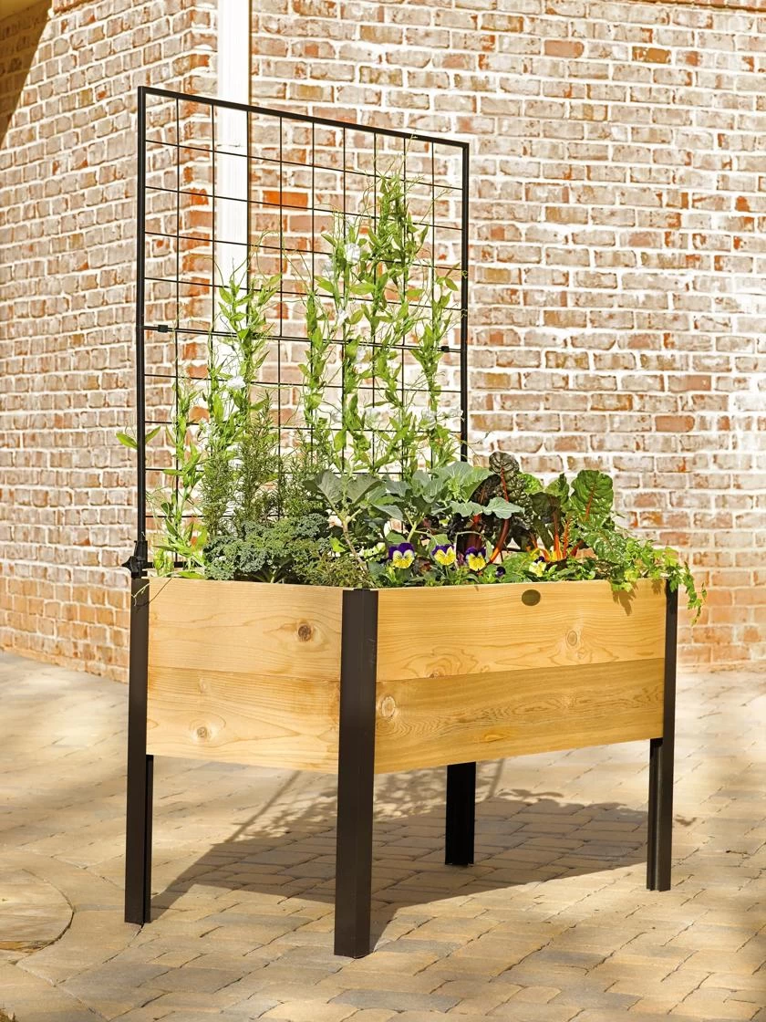 Elevated Planter Box And Space-Maker Pivoting Trellis Set, 2' X 4' 5 Elevated Planter Box And Space-Maker Pivoting Trellis Set, 2' X 4' - Image 5