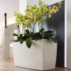 Lechuza® Cararo Rectangular Indoor Planter With Casters
