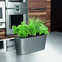 Lechuza® Delta Self-Watering Windowsill Planters -Green Haven Shop 8590298 02V tif