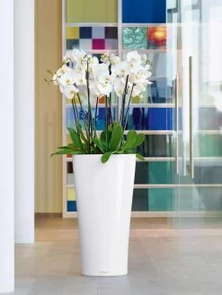 Lechuza® Delta Premium Self-Watering Planters