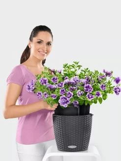 Lechuza® Nido Cottage Wicker Hanging Planter 6 Lechuza® Nido Cottage Wicker Hanging Planter -Green Haven Shop 8591154GT 006V tif