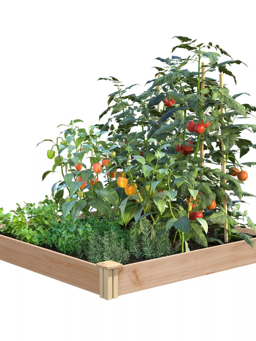 Cedar Raised Garden Bed, 4' X 4' X 6" 1 Cedar Raised Garden Bed, 4' X 4' X 6"