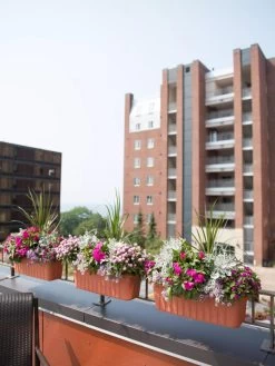 Adjustable Self-Watering Railing Planter, 24" 10 Adjustable Self-Watering Railing Planter, 24" -Green Haven Shop 8592173TC 2383 tif