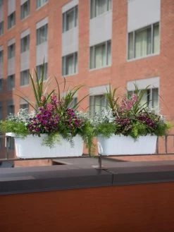 Green Haven Shop -Green Haven Shop 8592173WH 2403 tif