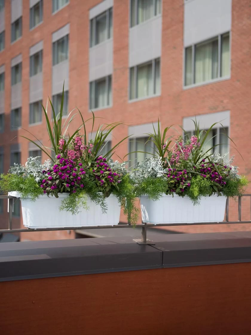 Adjustable Self-Watering Railing Planter, 24" 2 Adjustable Self-Watering Railing Planter, 24" - Image 2