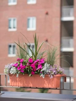 Green Haven Shop -Green Haven Shop 8592174TC 2352 tif