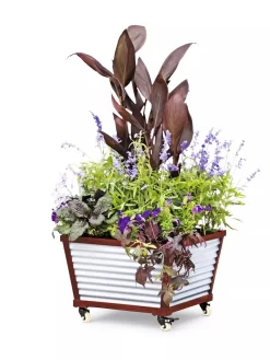 Galvanized Self-Watering Planters -Green Haven Shop 8592176 5067 tif