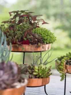 Small Round Copper Plant Tray, 10" 6 Small Round Copper Plant Tray, 10" -Green Haven Shop 8593564 4399 tif