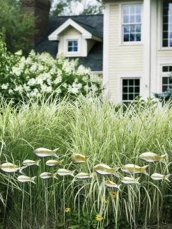 Fish Out Of Water Garden Stakes, Set Of 5 12 Fish Out Of Water Garden Stakes, Set Of 5 -Green Haven Shop 8593672 9124 tif