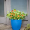 Viva Round Self-Watering Rolling Planter, 17.25” Diameter