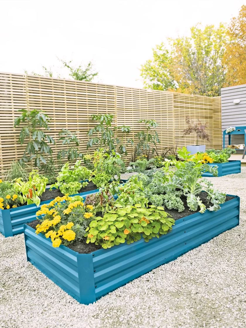 Demeter Corrugated Metal Raised Bed, 34" X 68" 1 Demeter Corrugated Metal Raised Bed, 34" X 68"