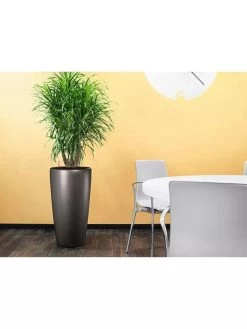 Lechuza® Rondo Self-Watering Planters 6 Lechuza® Rondo Self-Watering Planters -Green Haven Shop 8594586 02V tif