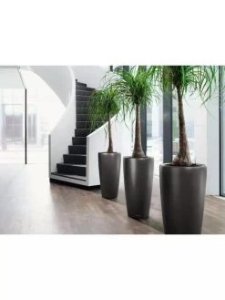 Lechuza® Rondo Self-Watering Planters 7 Lechuza® Rondo Self-Watering Planters -Green Haven Shop 8594586 03V tif