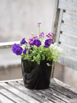 Viva Round Self-Watering Planter, 7" Diameter -Green Haven Shop 8595222 1140 tif