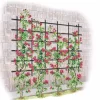 Titan Customizable Wall Trellis