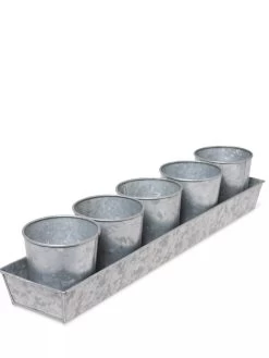 Galvanized Herb Planters With Rectangular Tray 7 Galvanized Herb Planters With Rectangular Tray -Green Haven Shop 8595903 3924 tif