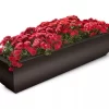 Valencia Window Box, 4'