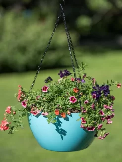 Viva Self-Watering Hanging Basket, 14" Diameter 8 Viva Self-Watering Hanging Basket, 14" Diameter -Green Haven Shop 8596442 0859 tif