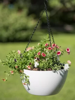 Viva Self-Watering Hanging Basket, 14" Diameter 7 Viva Self-Watering Hanging Basket, 14" Diameter -Green Haven Shop 8596442 0864 tif