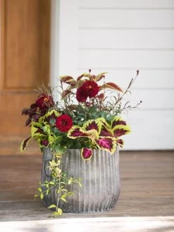 Galvanized Ribbed Planters 6 Galvanized Ribbed Planters -Green Haven Shop 8597435 1693 tif