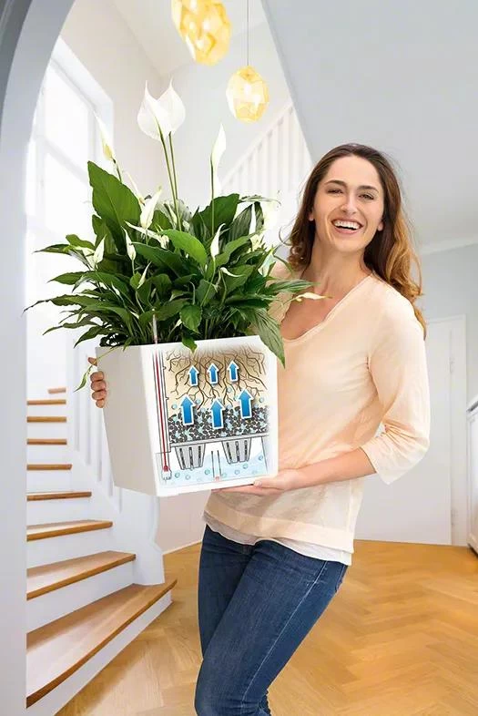 Lechuza® Cube Premium Planters 2 Lechuza® Cube Premium Planters - Image 2