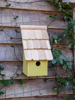 Heartwood Fruit Coops Bird House 8 Heartwood Fruit Coops Bird House -Green Haven Shop 8598856 03v