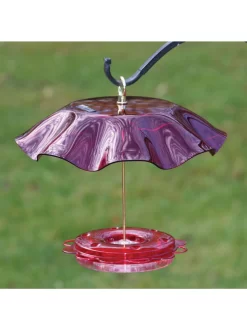 Birds Choice™ Hummingbird Nectar Feeder With Weather Guard Kit -Green Haven Shop 8598910 01v