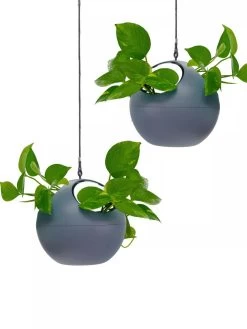 Exaco Euro Hanging Planters, Set Of 2 7 Exaco Euro Hanging Planters, Set Of 2 -Green Haven Shop 8599179 04V tif