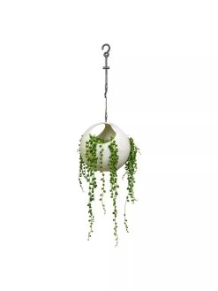 Exaco Euro Hanging Planters, Set Of 2 6 Exaco Euro Hanging Planters, Set Of 2 -Green Haven Shop 8599179 06V tif
